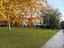 Immagine 14
