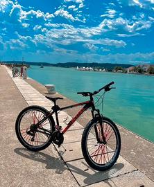 Bicicletta