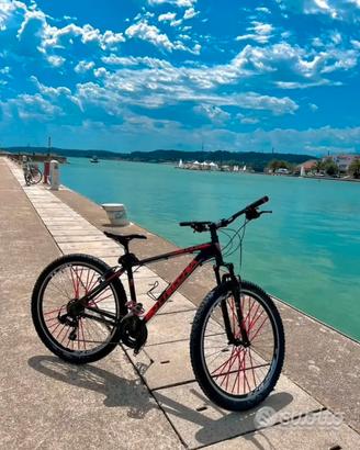 Bicicletta