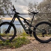 SPECIALIZED Kenevo expert