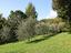 Immagine 7
