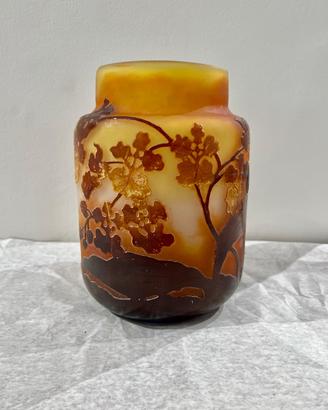 Orchidee selvatiche - Vaso Galle