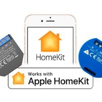 Shelly 2.5 Homekit