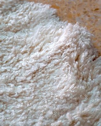 Tappeto pelle agnello tibetano bianco