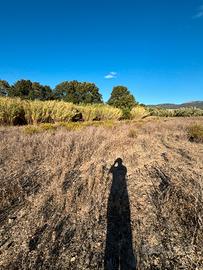 Terreno agricolo a soleminis (ca)