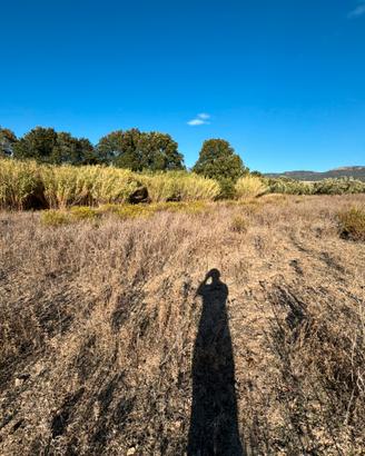 Terreno agricolo a soleminis (ca)