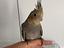 Immagine 3