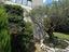 Immagine 11