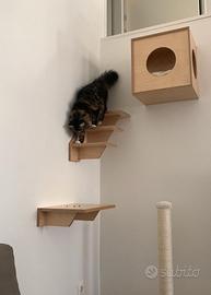 Mobili gatti