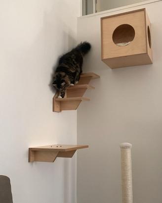Mobili gatti