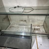 Teca rettili 120