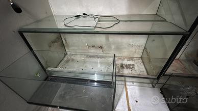 Teca rettili 120