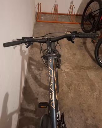 bicicletta 