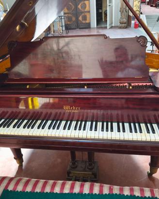 Pianoforte a coda