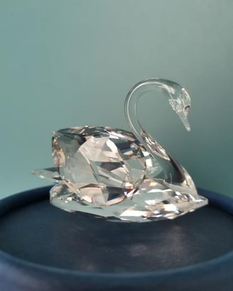 Swarovski Cigno 