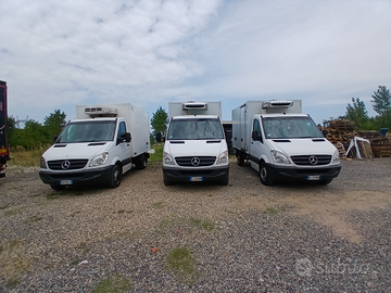 Mercedes sprinter frigo2012