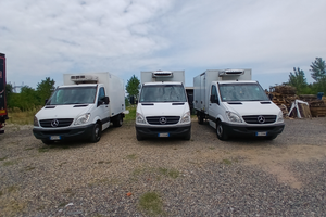 Mercedes sprinter frigo2012