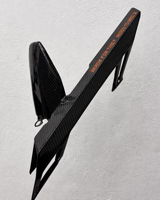 Accessori in carbonio duke 390