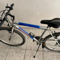 MTB Lombardo 26”