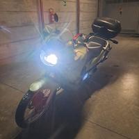 honda transalp 650