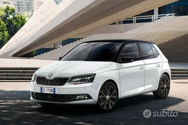 Ricambi usati Skoda Fabia Octavia kamiq karoq