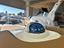 Immagine 15