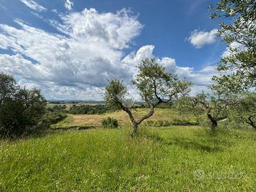 TER. RESIDENZIALE A MORLUPO