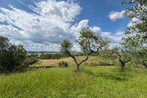 TER. RESIDENZIALE A MORLUPO