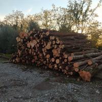 LEGNA IN TRONCHI