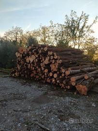 LEGNA IN TRONCHI