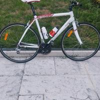 Wilier Asolo tg L