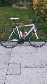 Wilier Asolo tg L