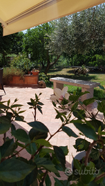 Grazioso bilocale San Teodoro