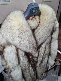 Pelliccia Volpe della Groenlandia, bellissim e co