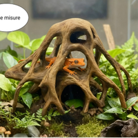 tronco radice per terrario teca acquario