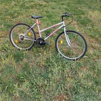 Mountain Bike Riviera 