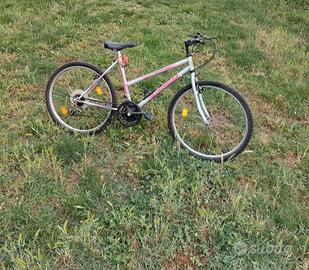 Mountain Bike Riviera 