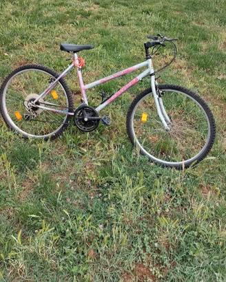 Mountain Bike Riviera 