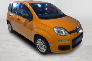 FIAT Panda 3ª serie Panda 1.0 FireFly S&S Hybrid