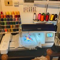 Ricamatrice Brother innov-is NV800E