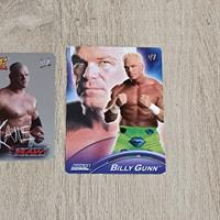 CARTE WRESTLING WWE SMACKDOWN BILLY GUNN s28 topps