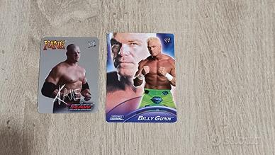 CARTE WRESTLING WWE SMACKDOWN BILLY GUNN s28 topps