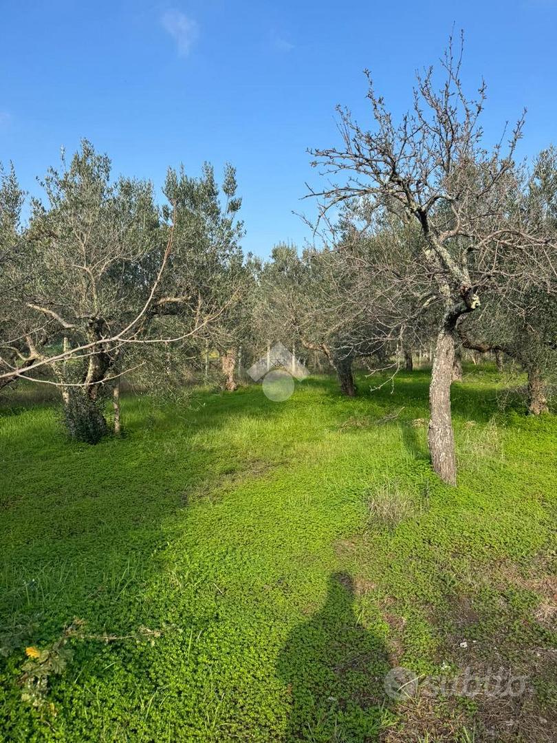 TER. AGRICOLO A SESSA AURUNCA - Vista 4