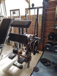 standing leg curl 