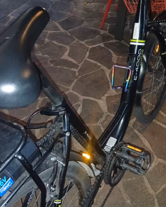 Bici a pedalata assistita Orus 4000
