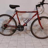 mtb uomo 26