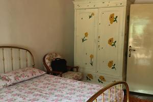 Splendido terracielo