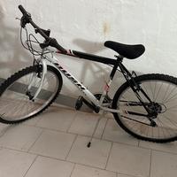 Mountain bike