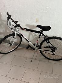 Mountain bike