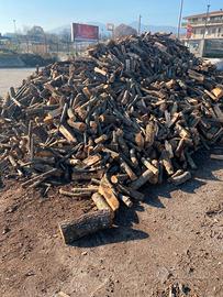 Legna secca di quercia o castagno